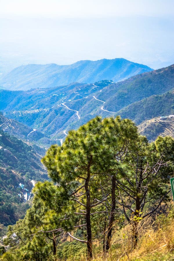 Dagshai Hills Solan
